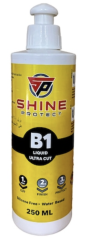 Shine Protect B1 Kalın Pasta 250 ml